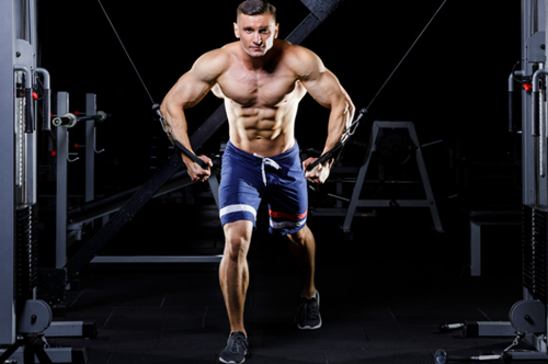 Workout Plans -Muscle Gain